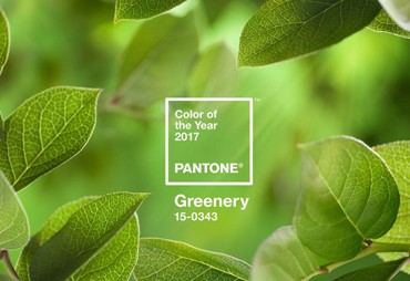 Pantone's Colour of the Year 2017 Symbolizes a Fresh Start