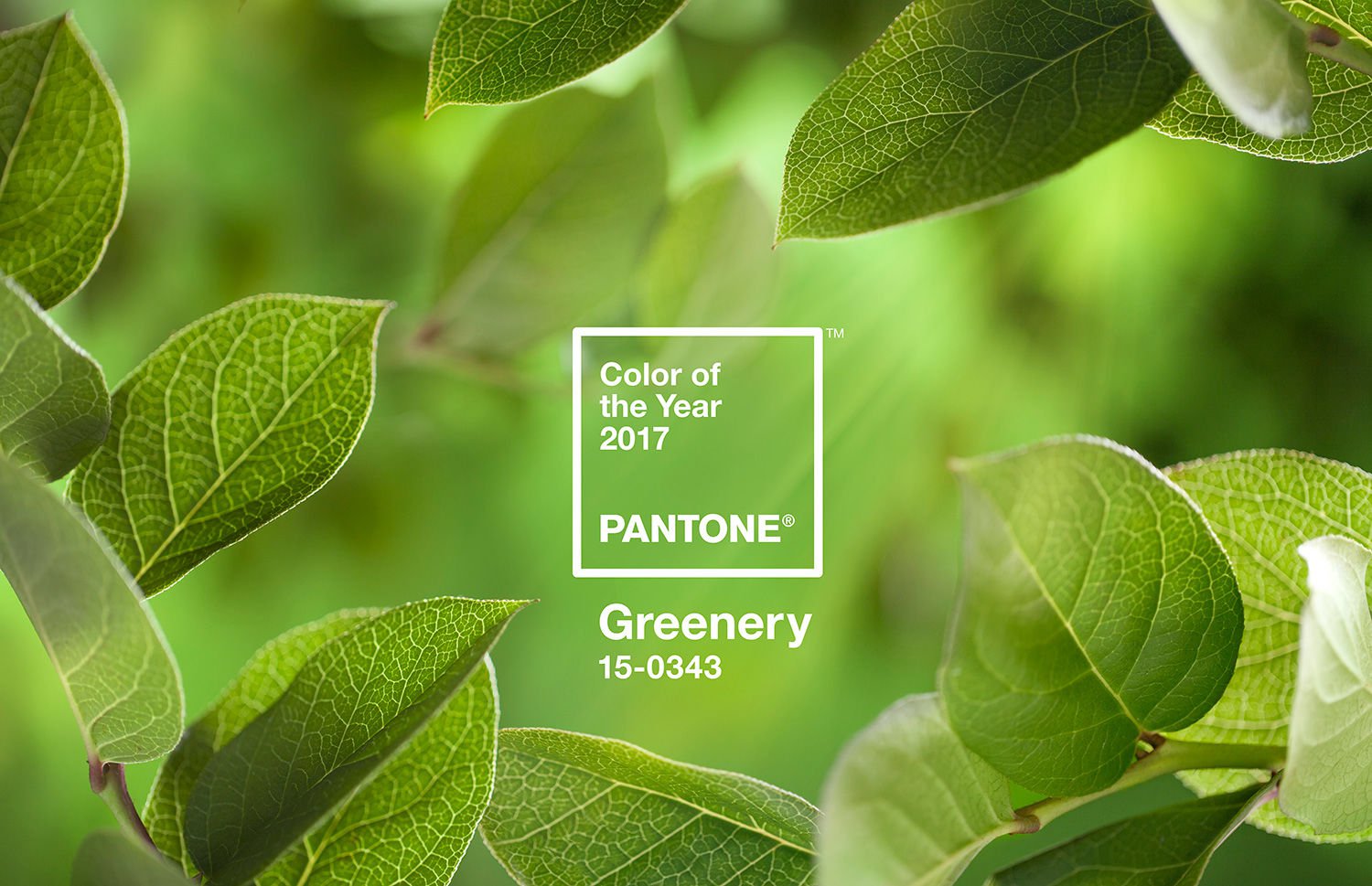 A sneak preview of Pantone’s Colour of the Year 2017