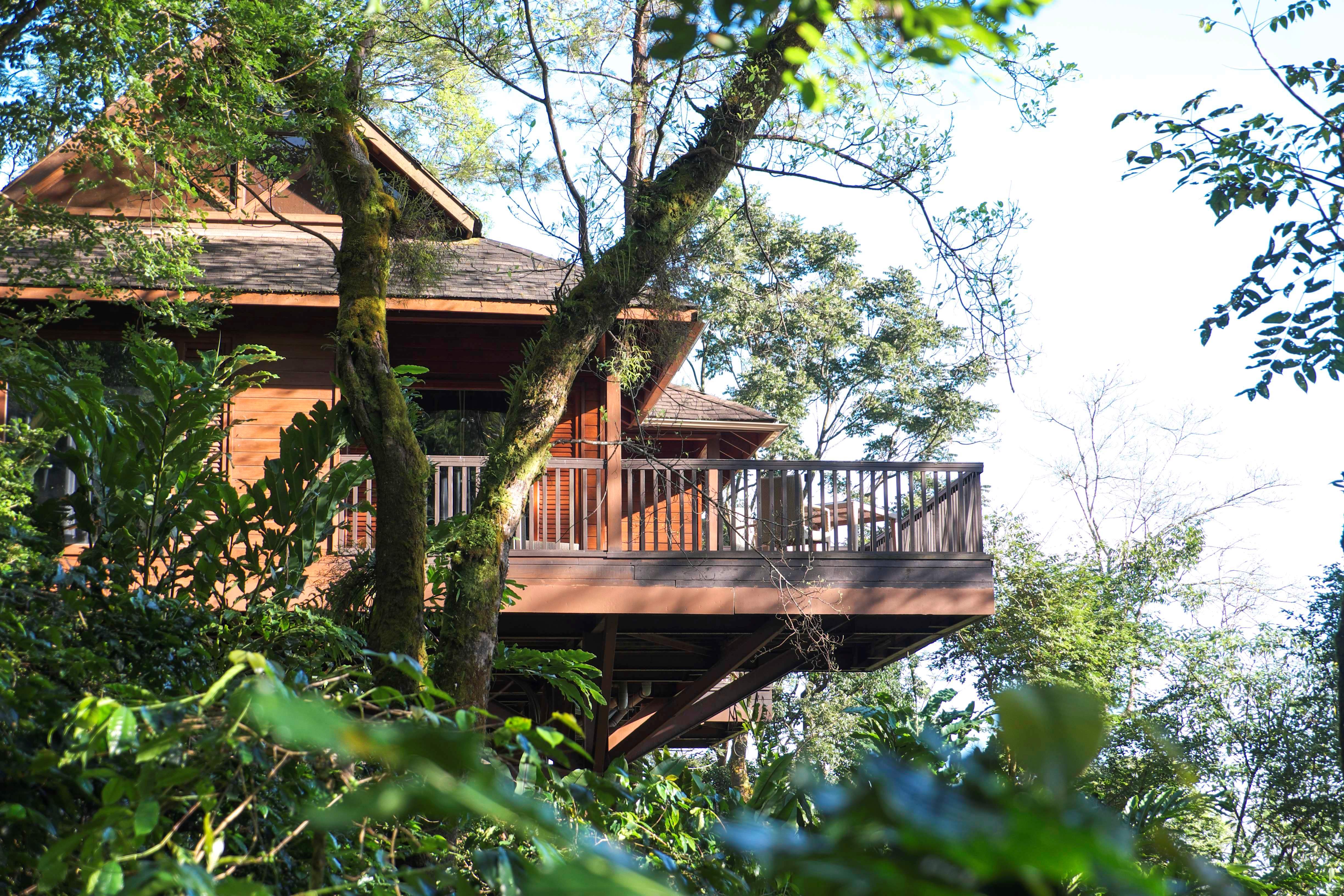 A Real Taste of Coorg: The Falls at The Tamara
