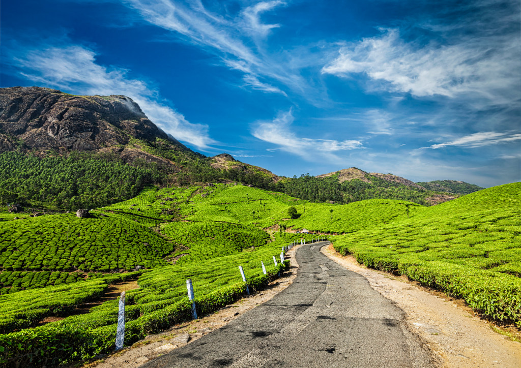 The Wave Water Front Luxury Resort & Spa Wayanad