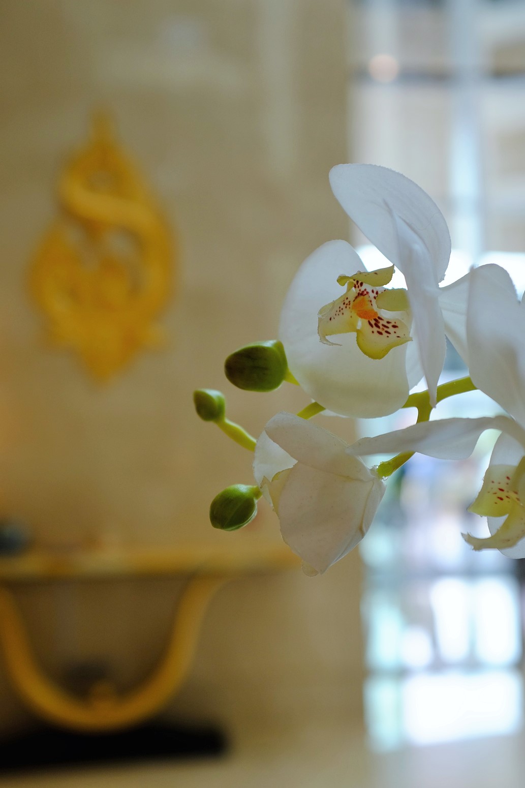 Experiencing Gracious Thai Hospitality at Dusit Thani Abu Dhabi
