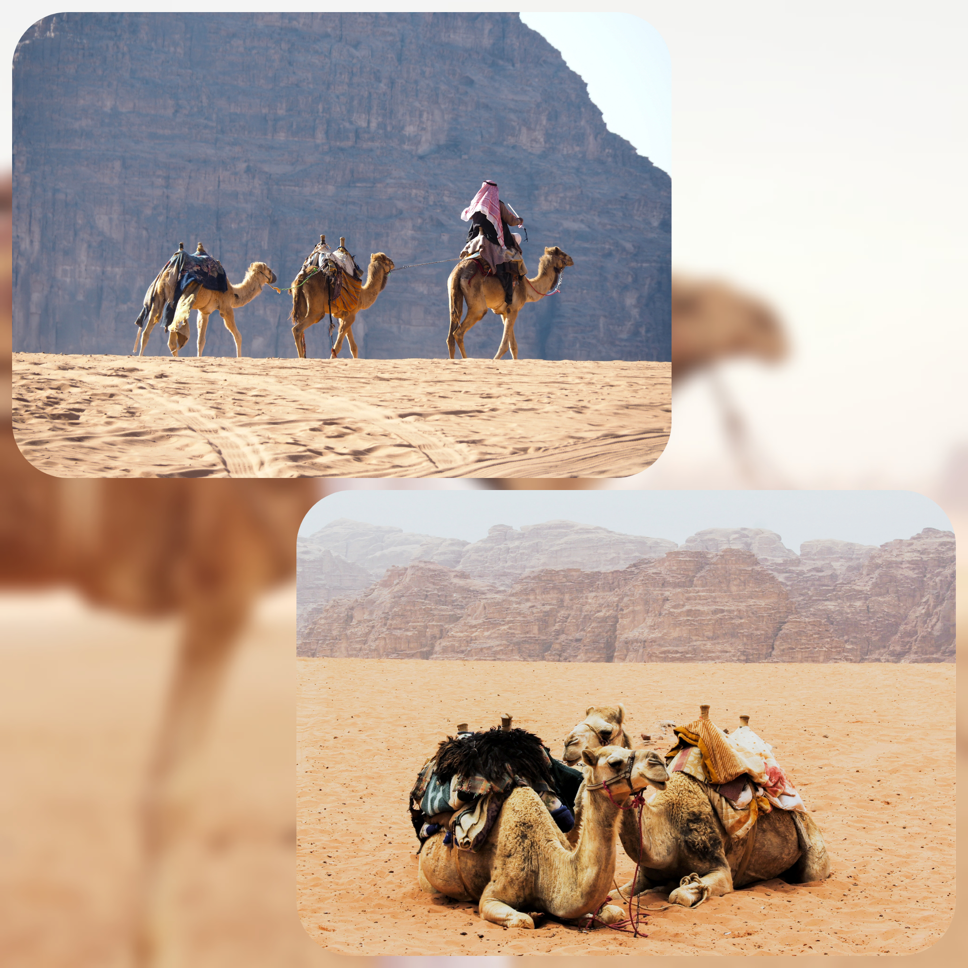 The Ultimate Wadi Rum Travel Guide