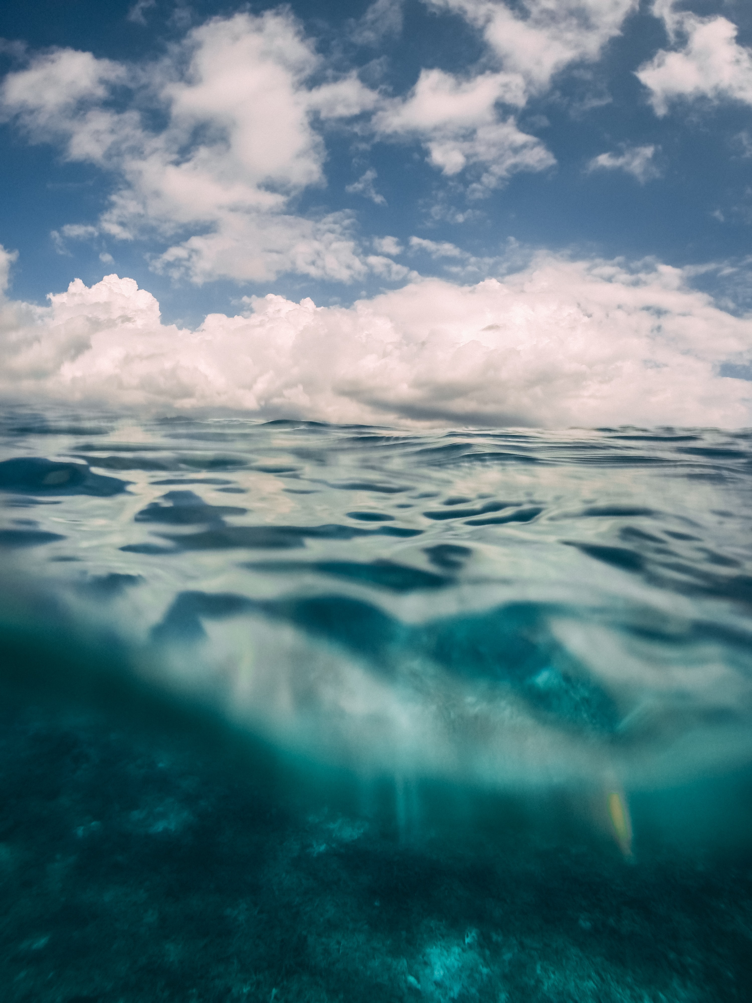 Underwater world of the Gili Islands