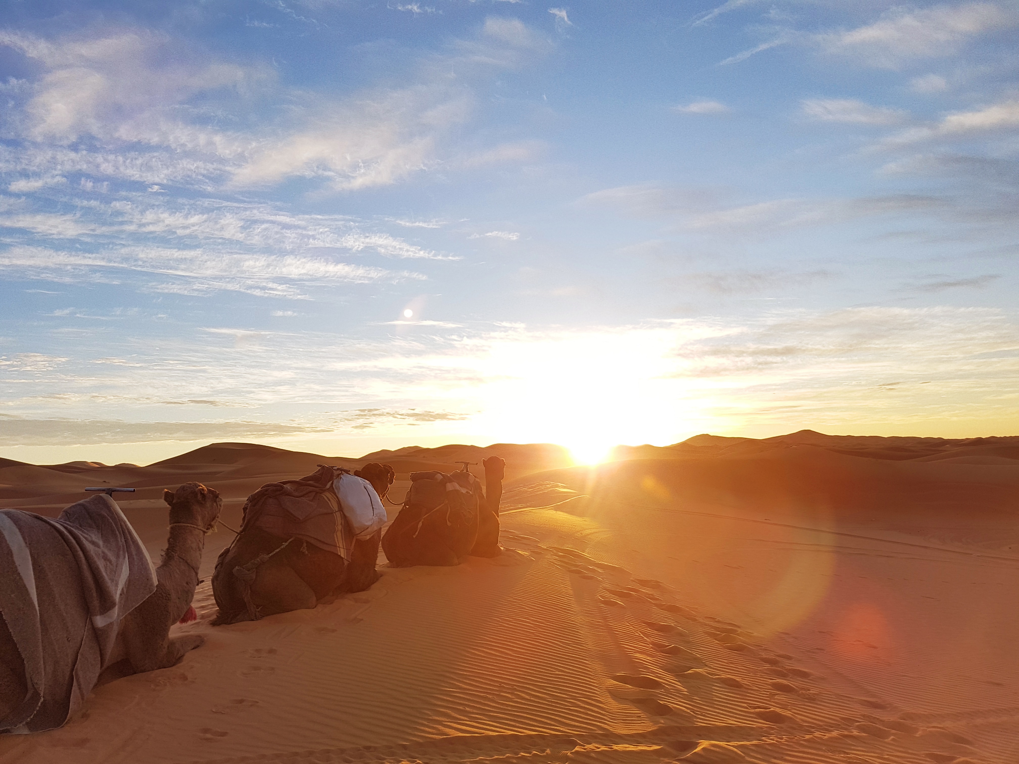 Sahara Desert Tour in Morocco