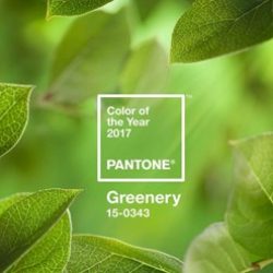 Pantone's Colour of the Year 2017 Symbolizes a Fresh Start
