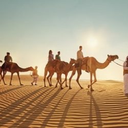 Abu Dhabi Travel Journal 2017