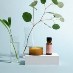 6 Natural Beauty Oils and Why You Need Them